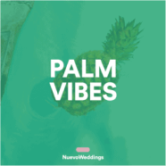 PALM VIBES